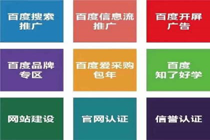 网站sem托管成功案例：品牌曝光度大增