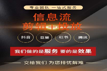 网络营销新篇章：竞价推广案例分析